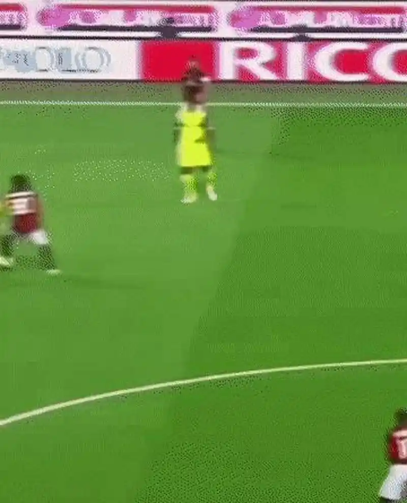 的冬季运动 的冬季运动